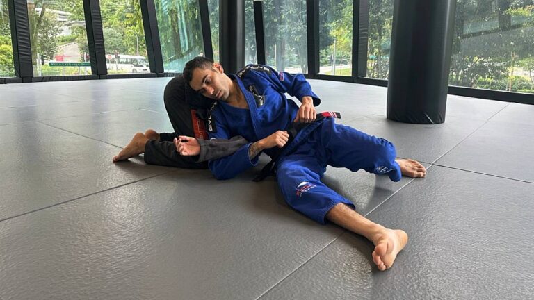 Turtle Defence Boxing The Turtle Fortress and the Turtleplata in BJJ - Everlastboxing