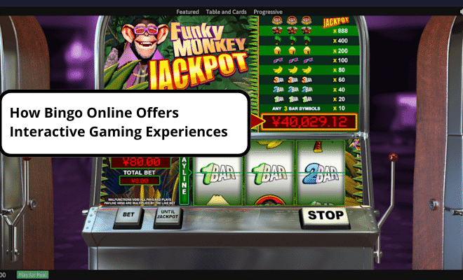 How Bingo Online offers interactive gaming experiences